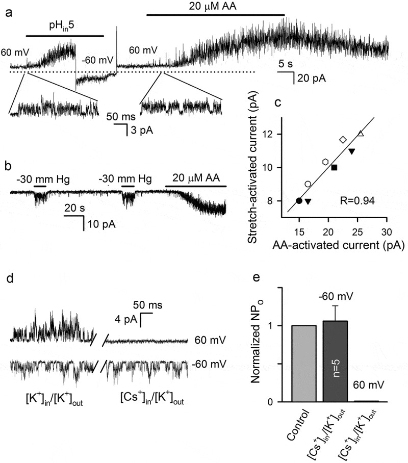 Figure 6.