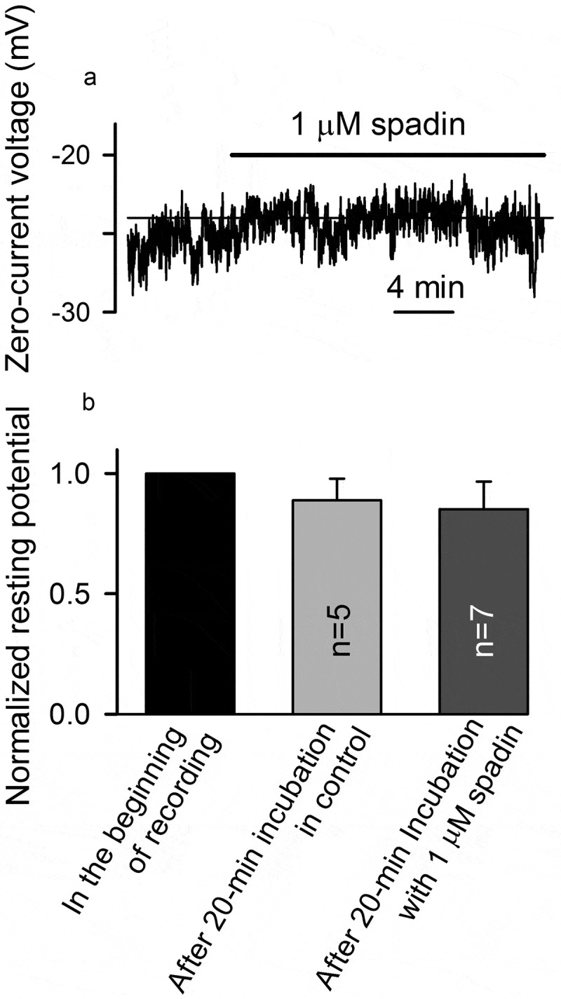 Figure 7.