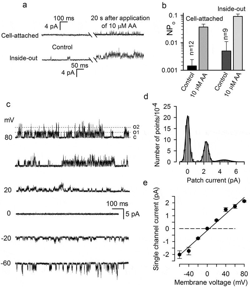 Figure 5.