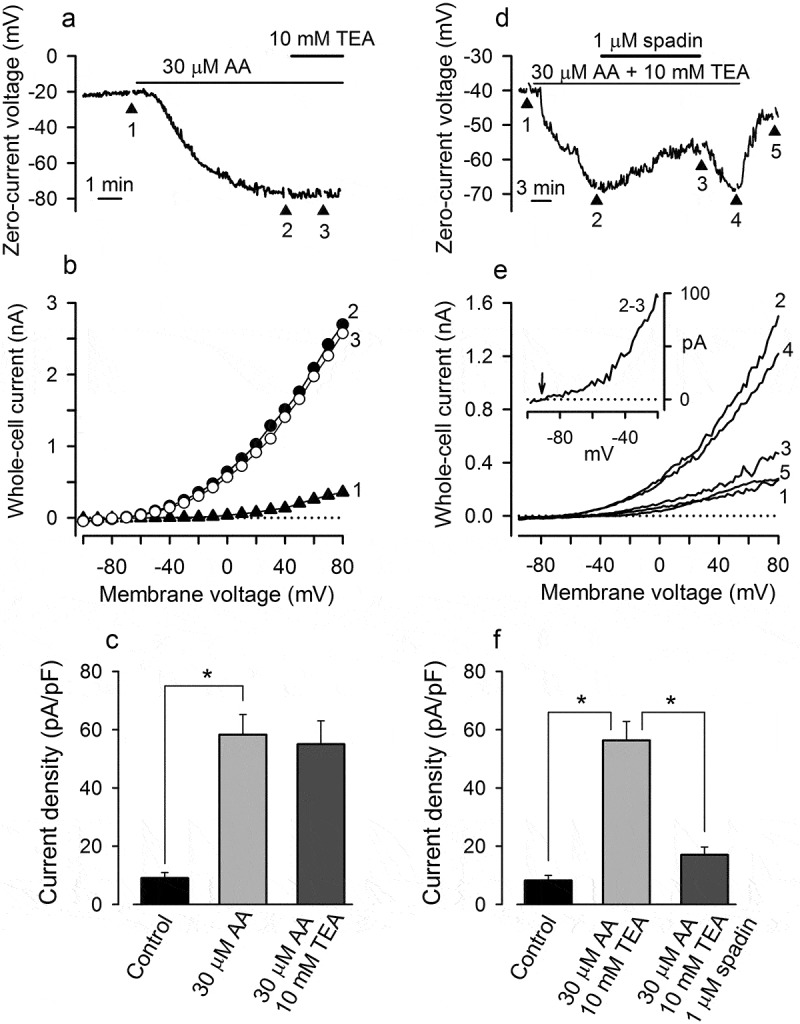 Figure 3.