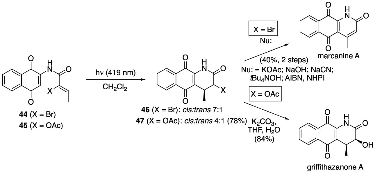 Scheme 4.