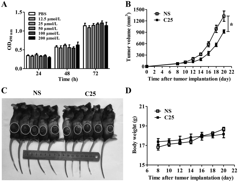 Figure 7