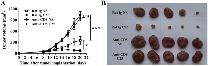 Figure 6