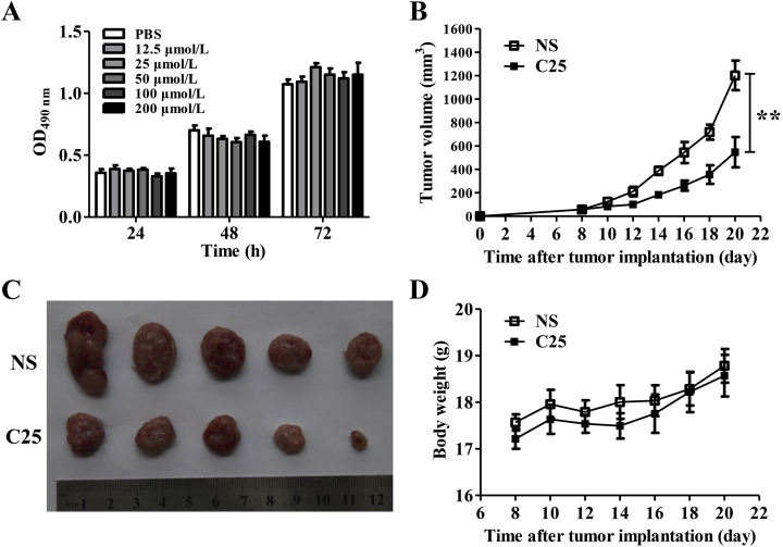 Figure 4