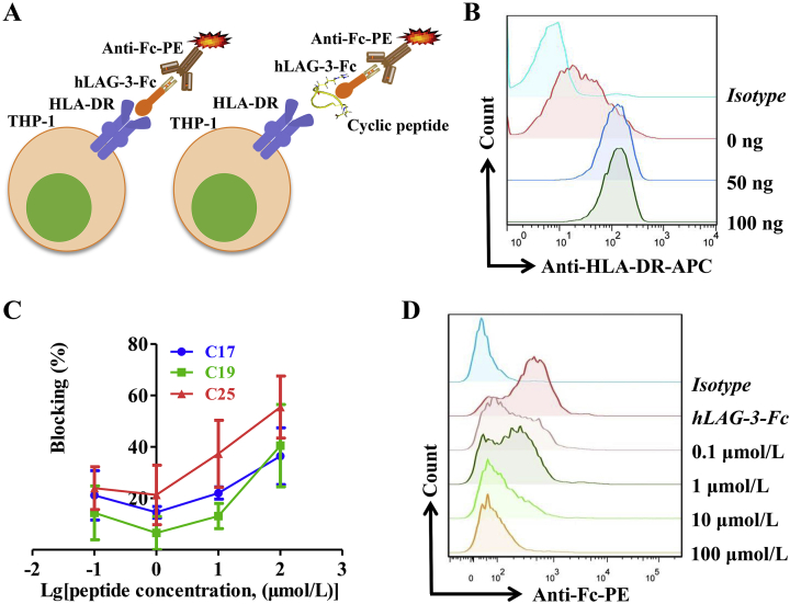 Figure 2