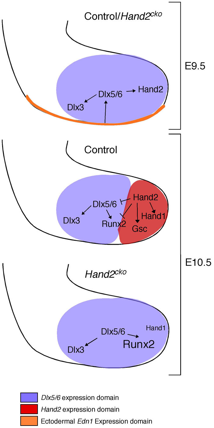 Fig. 8.