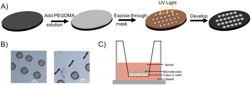 Figure 1.