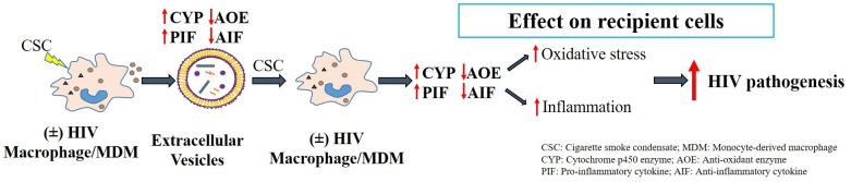 Fig 10