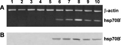 Fig 2.