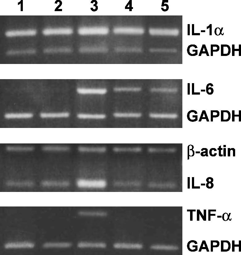 Fig 4.