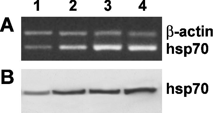 Fig 3.