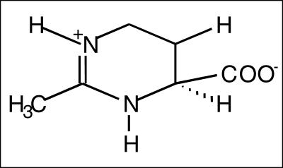 Fig 1.