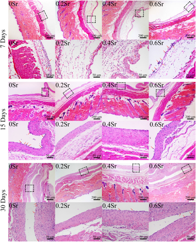 Fig. 13