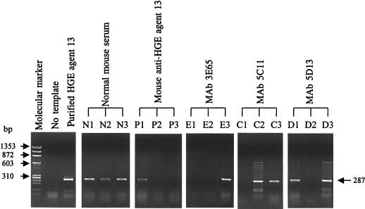 FIG. 8