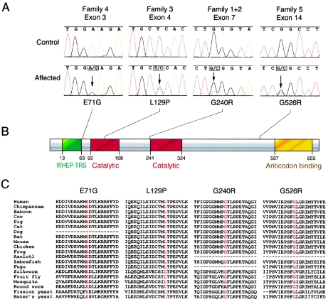 Figure  2