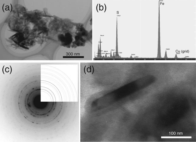 FIG. 2.