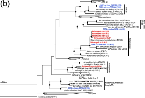 FIG.3.