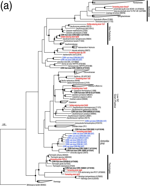 FIG.3.