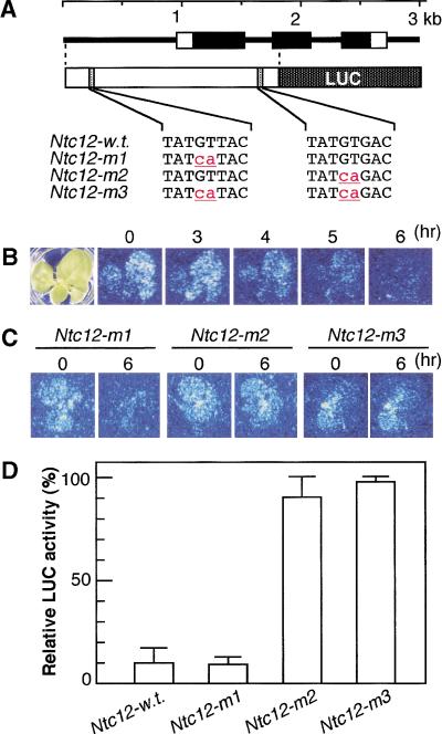 Figure 6