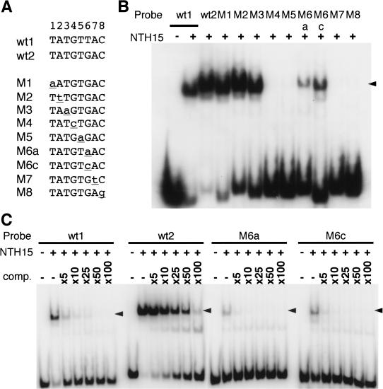 Figure 5