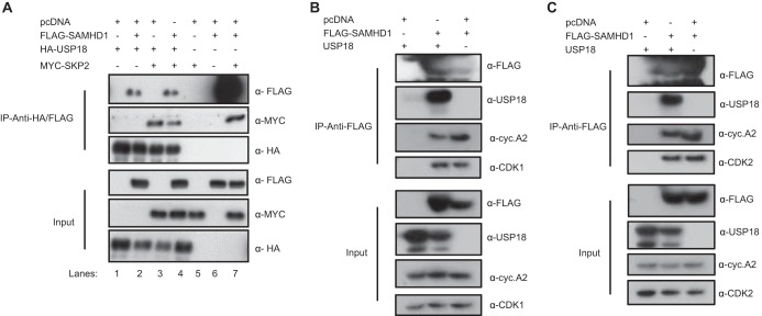 FIG 4