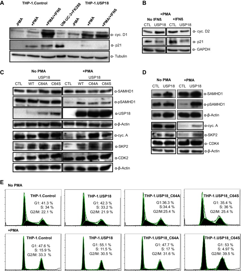 FIG 3