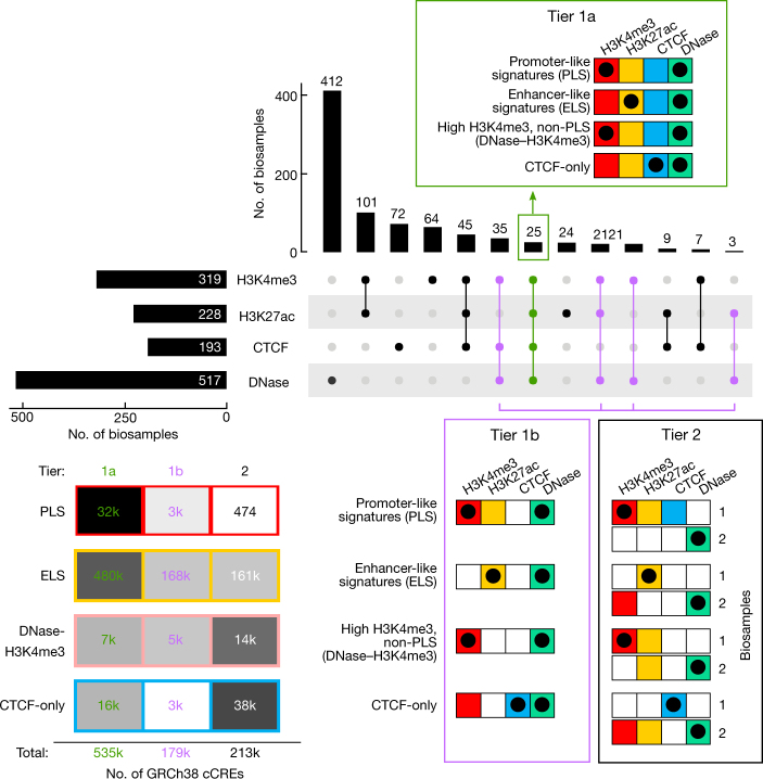 Box 1 Fig. 2 | Profiles of feature ascertainment across biosamples and confidence tiers for cCREs.