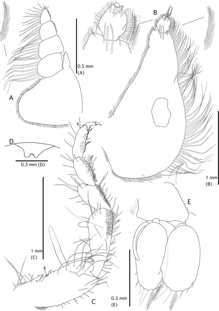 Figure 6.