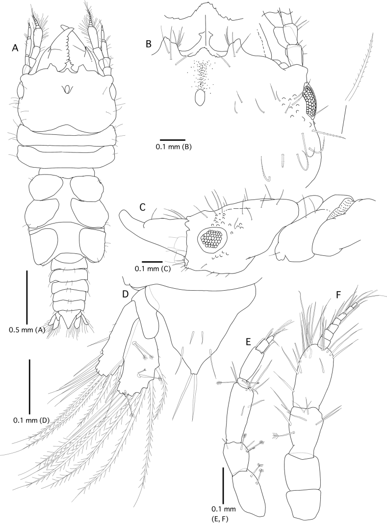 Figure 2.