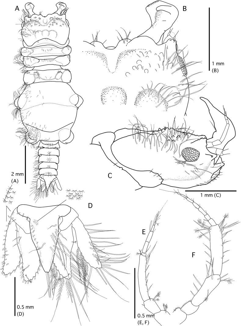 Figure 5.