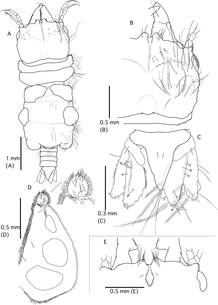 Figure 7.