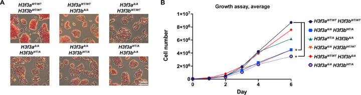 Figure 2: