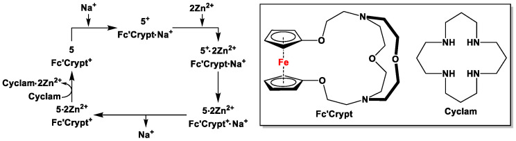 Scheme 6