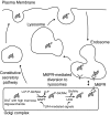 FIG. 4.