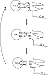 FIG. 3.