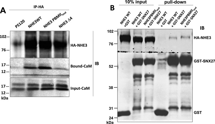 Figure 10.