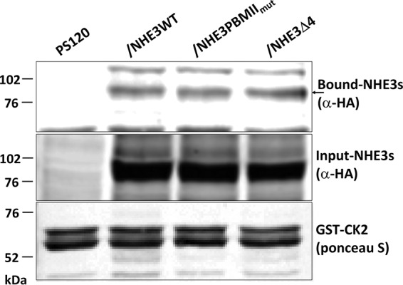 Figure 11.