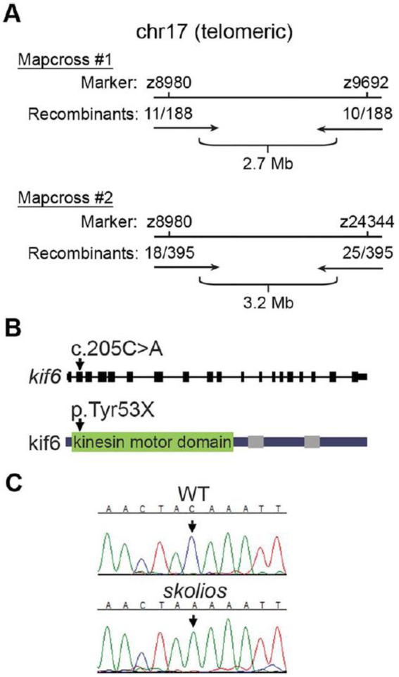 Fig. 3.