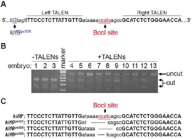 Fig. 5.