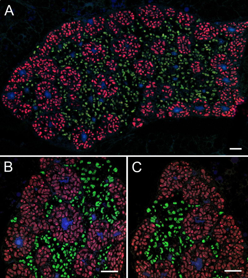 FIG 3