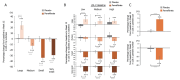 Fig.3. HPLC analysis for LDL subclasses and particles