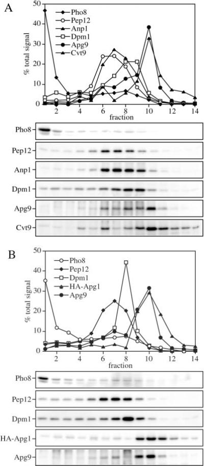 Fig. 5