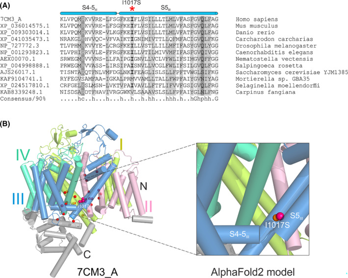 FIGURE 2