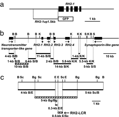 Fig. 2.