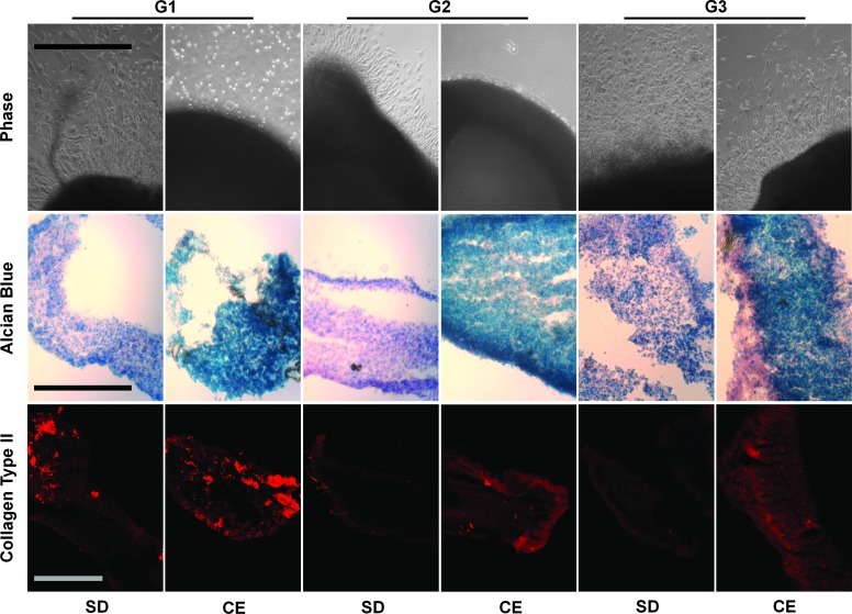 FIG. 6.