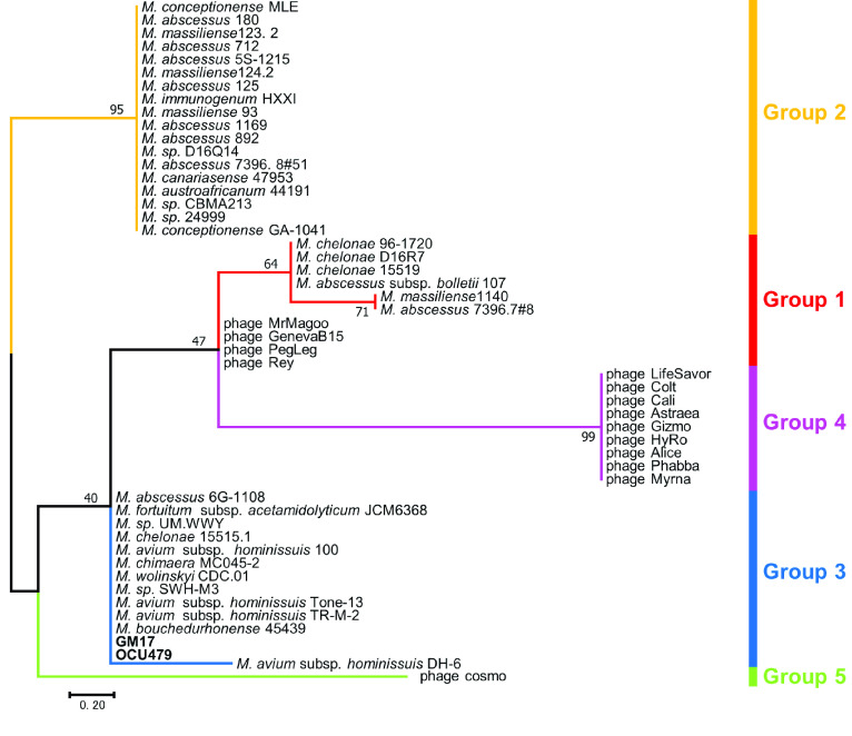 Figure 4.