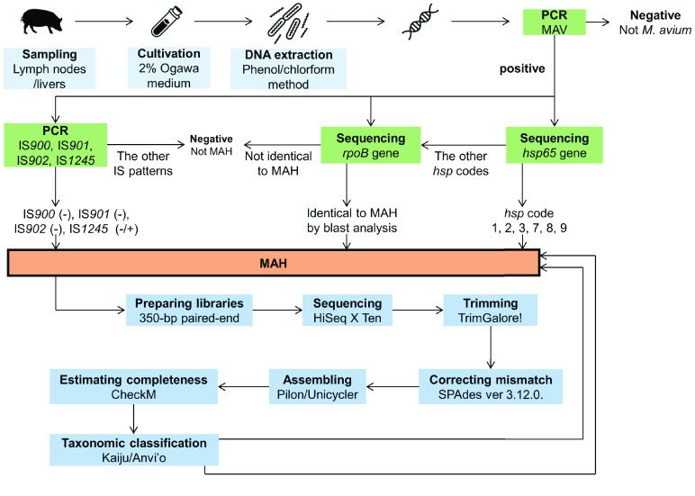 Figure 2.