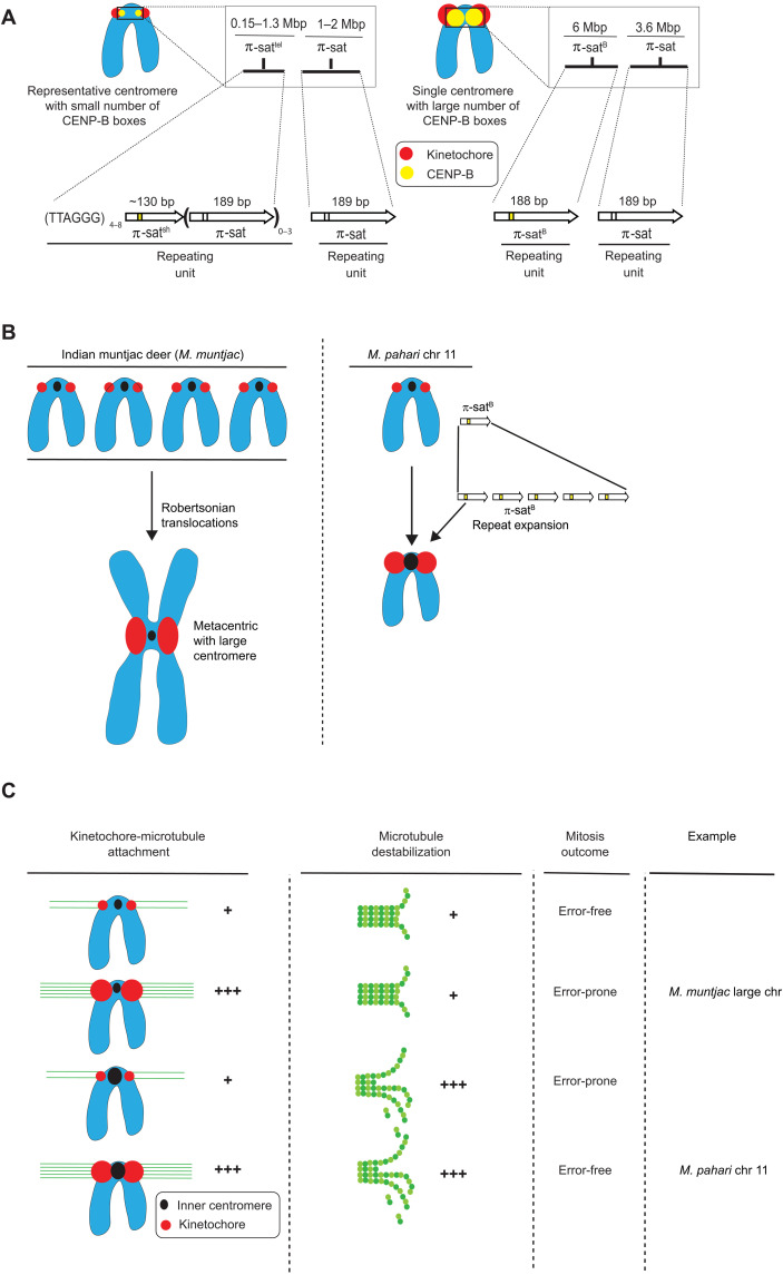 Fig. 8.