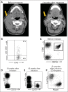 Fig 3.