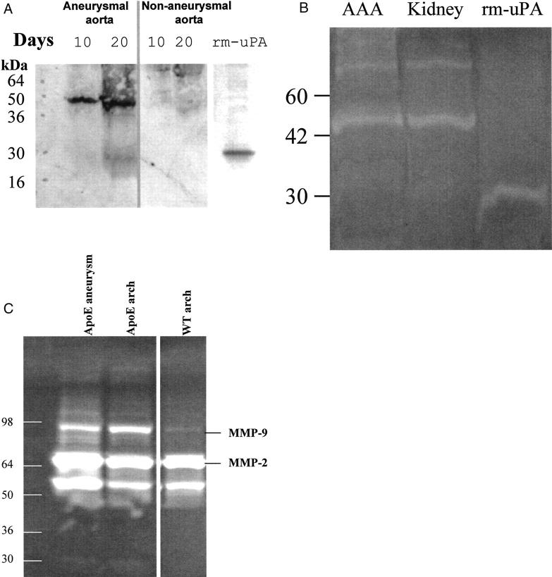 Figure 7.